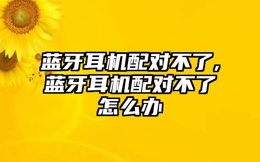 藍(lán)牙耳機(jī)配對不了,藍(lán)牙耳機(jī)配對不了怎么辦