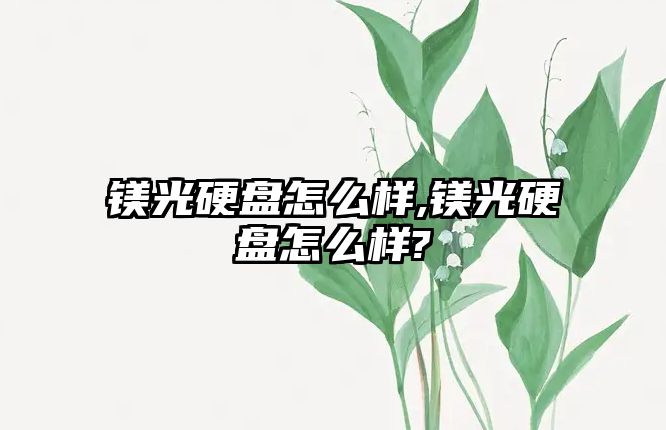 鎂光硬盤怎么樣,鎂光硬盤怎么樣?