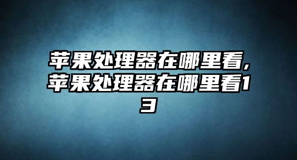 蘋果處理器在哪里看,蘋果處理器在哪里看13